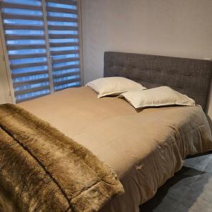 Appartement les pieds dans leau avec terrasse et jardin