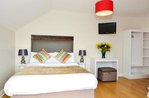 Dingle Harbour Lodge B&B