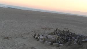 Appartements Le Liberty Appartement calme et cosy avec vue piscine et montagnes : photos des chambres