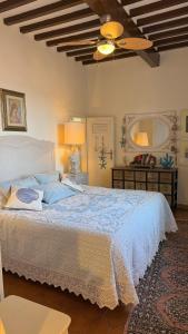 La Cartomante di Bonaparte