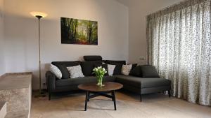 Landhaus-Wald-und-See-3