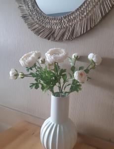 Bord de mer! Studio Terrasse ,Prado Plage