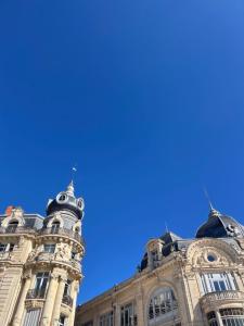 Un jardin place de la Comédie