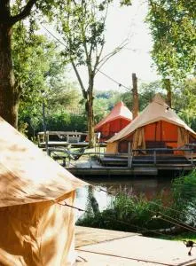 ASILI DELUXE - Zebra - Kasterlee