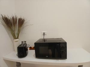 Vatican Treasure Garden