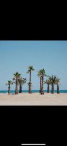 Campings MOBIL HOME Le Soleil,3CH,6PERS : photos des chambres