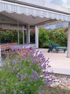 Sončen apartma Novigrad