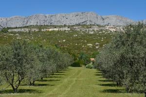 Villas Piscine et tennis prives a proximite Aix en Provence : photos des chambres