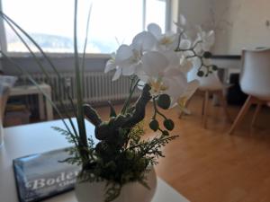 Seestudio mit toller Aussicht am Bodensee