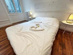 Vesle magnifique T4 hyper centre 6 personnes