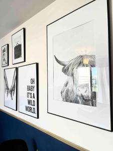 Appartements Flanelles - beautiful apartment Lyon 8 : photos des chambres