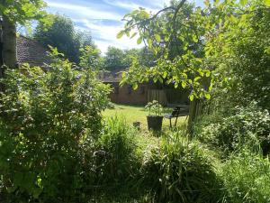 B&B / Chambres d'hotes Un Verger dans la Ville : photos des chambres