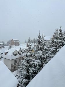 Pogled Apartman Kopaonik