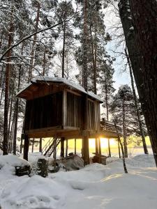 Haven Islands Treehouse on a private island