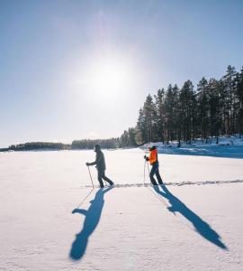 Haven Islands Treehouse on a private island