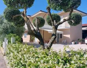 Casa immersa nel verde del parco del Conero - Marcelli