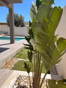 Villa Mykonos sans vis a vis