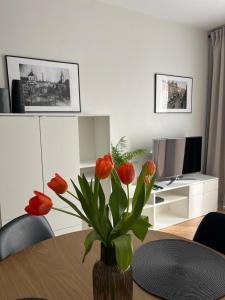 Metro Art Scandic Studio