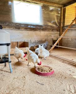 Agriturismo La Vecchia Chioderia