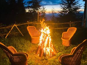 Staycation Premium Mashobra - A Nature Valley Retreat Resort