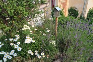 apartmán Port Arthur