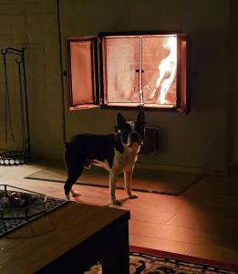 Carelian Pearl - house in Ilomantsi, Eastern Finland