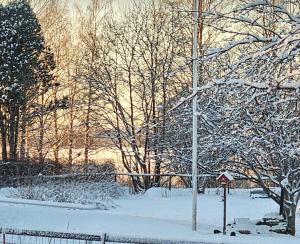 Carelian Pearl - house in Ilomantsi, Eastern Finland