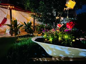 Magic Jardín Hostel - Patio, Balcony & Rooftop