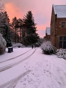 Lovely Carlung House