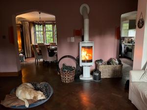 Lovely Carlung House