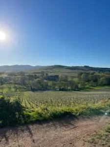 Douce Escapade à Chaintré - 普路兹利