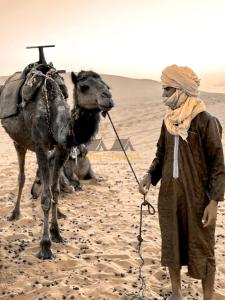 Merzouga Chic Luxury Camps