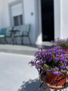 Cavalari Santorini - Sunny and quiet room #3