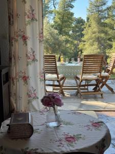 Villa ELANI Chalkidiki near to the sea