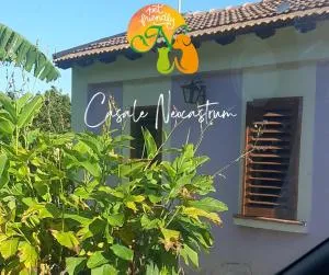 Azienda Agricola Neocastrum - Curinga