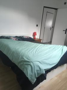 Appartements La maison pailletee Giromagny : photos des chambres