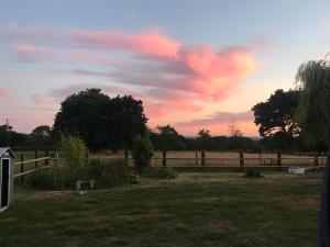 Maisons de vacances Le coin des piplettes : photos des chambres