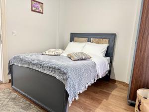 Modern Furnished Historical Building