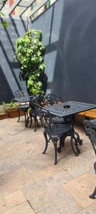 Modern Furnished Historical House