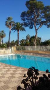 Charmant studio en front de mer avec balcon