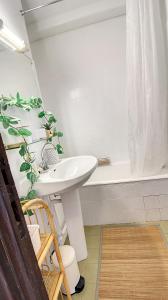 Appartement dans résidence piscine chauffée