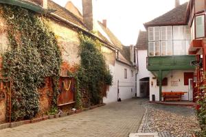 Guesthouse Casa Baciu