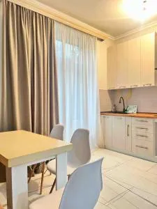 Newly renovated , cozy 1 bedroom apartment - Nor-Aparan