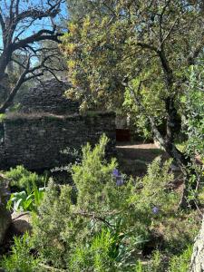 Maisons d'hotes A l-ombre des pins : photos des chambres