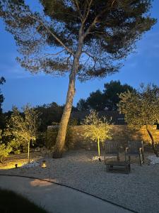 Maisons d'hotes A l-ombre des pins : photos des chambres