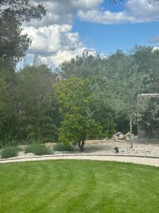 Maisons d'hotes A l-ombre des pins : photos des chambres