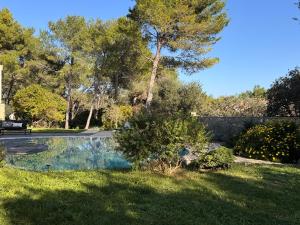 Maisons d'hotes A l-ombre des pins : photos des chambres