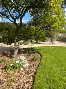 Maisons d'hotes A l-ombre des pins : photos des chambres