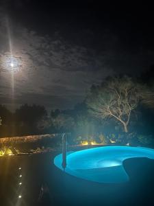 Maisons d'hotes A l-ombre des pins : photos des chambres