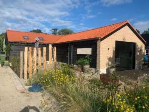 BnB de Jutter - Renesse